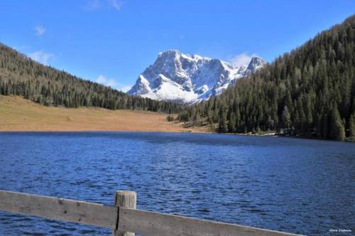 a fence next to a lake with a snow covered mountain at Casa Danoli in Canale San Bovo