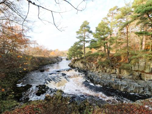 a river with rapids and trees on the side at West Reins in Barnard Castle
