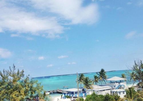 a view of a beach with palm trees and the ocean at Exuma Beach Point in Rolleville