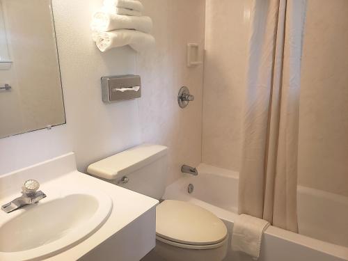 a bathroom with a sink and a toilet and a shower at Anchorage Motel in Bar Harbor