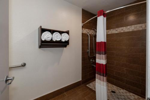 a bathroom with a shower with a shower curtain at Red Roof Inn Indianapolis - Greenwood in Greenwood