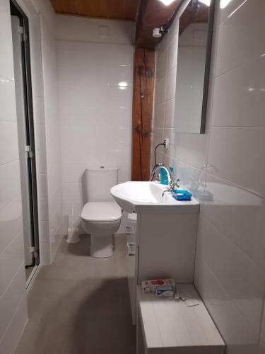 une salle de bain blanche avec des toilettes et un lavabo dans l'établissement Villa Playa del Sol -B6, à Saint-Tropez