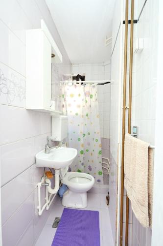 a bathroom with a white toilet and a purple rug at Apartmani Stanojevic Sokobanja in Soko Banja