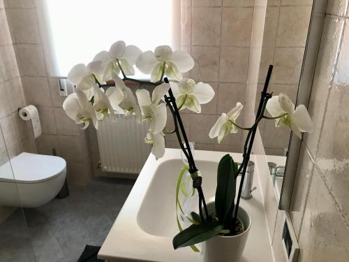 Ένα μπάνιο στο Appartamento AL CENTRO