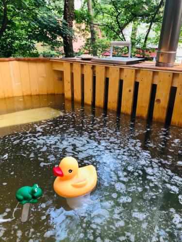 two rubber ducks in a pond with a wooden fence at Zegzug Noszvaj in Noszvaj