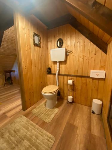 a bathroom with a toilet in a wooden cabin at M&M Kuća za odmor in Vrbovec
