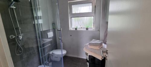 a bathroom with a shower and a toilet and a window at FeWo Tanja in Lindau