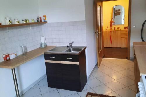 eine Küche mit einer Spüle und einer Theke in der Unterkunft Gemütliche Whg in Einsiedel am Rande der Zwönitz in Chemnitz