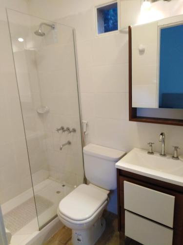 a bathroom with a toilet and a shower and a sink at Mini casa in Chacras de Coria