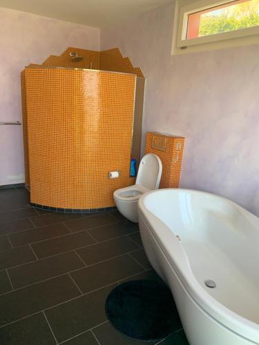 a bathroom with a tub and a toilet and a sink at Villa au bord du lac de Morat avec vue imprenable in Bellerive
