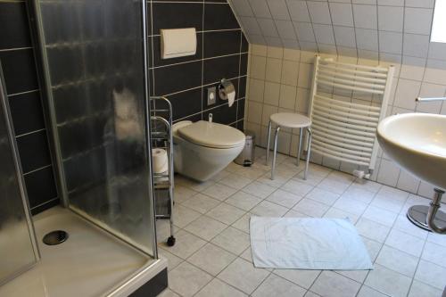 La salle de bains est pourvue d'une douche, de toilettes et d'un lavabo. dans l'établissement Gasthof Zur guten Quelle, à Schwerin