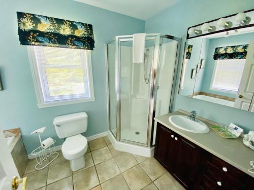 a bathroom with a toilet and a shower and a sink at Auberge Le Tricorne in North Hatley