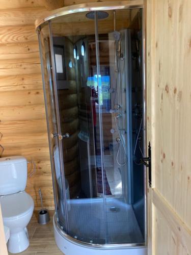 a glass shower in a bathroom with a toilet at Drevenica Magdaléna in Trstené