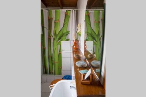 een badkamer met een plank met rotsen en planten bij Casa Madre Tierra in La Pared