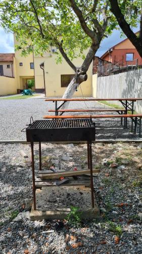 a picnic table sitting under a tree in a park at Pensiunea Vlad in Arad