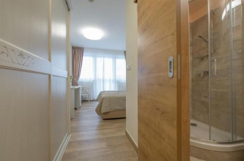 a bathroom with a walk in shower next to a bedroom at Hotel SLUNEČNÁ LOUKA in Lipno nad Vltavou