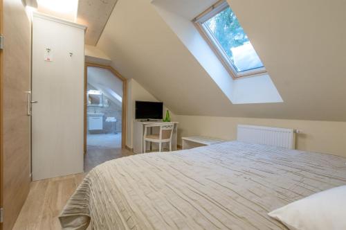 a bedroom with a bed and a skylight at Hotel SLUNEČNÁ LOUKA in Lipno nad Vltavou
