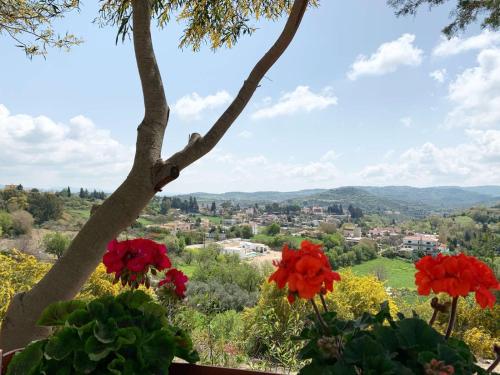 widok na miasto z drzewa z czerwonymi kwiatami w obiekcie Cosmema house 2 Studio with great mountain view w mieście Stroumbi