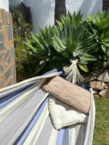 Fotografia z galérie ubytovania Camachuelo Holiday Home v destinácii Estepona
