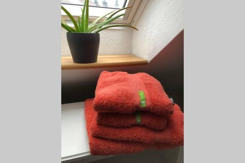 un mucchio di asciugamani seduti su uno scaffale accanto a una finestra di Komfortferienwohnung Harzglueck auf 2 Etagen a Hohegeiss