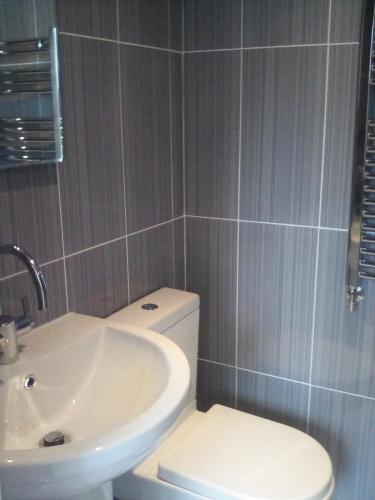 a bathroom with a white toilet and a sink at 2 Bodwen Villas in Llangollen