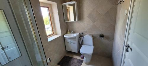 a bathroom with a toilet and a sink and a mirror at Svea hotell, Vollsj&ouml; in Vollsj&ouml;