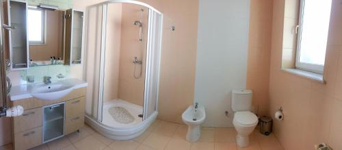 a bathroom with a shower and a toilet and a sink at Kolyada Hotel in Odesa