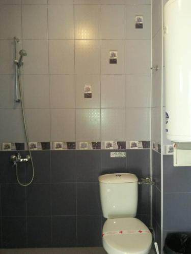 un bagno con wc e doccia di Complex Exotica a Lozenets