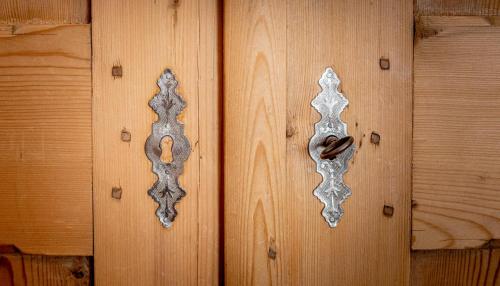 two metal handles on a wooden door at Bruggenwirt in Bruggen
