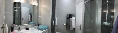 y baño con ducha, lavabo y espejo. en Gîte de la Coussotterie Sud Vendée 4 **** 8 pers en Sainte-Gemme-la-Plaine