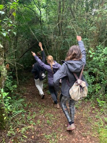 three people walking on a trail in the woods at David Crater Homestay in Lushoto