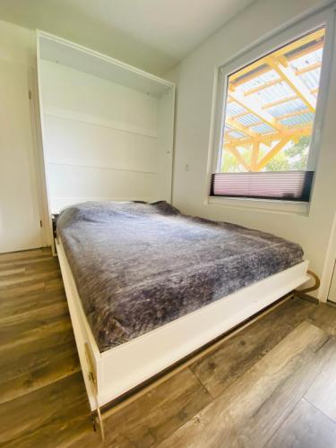 a bed in a room with a window at Moderner Einraumbungalow auf eigenem Grundstück in Flecken Zechlin