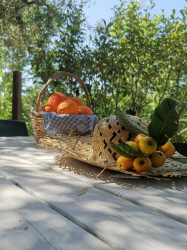 Φαγητό σε αυτή η εξοχική κατοικία ή κάπου εκεί κοντά