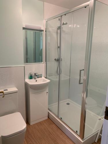 a bathroom with a shower and a toilet and a sink at 1/5 Lismore House in Oban