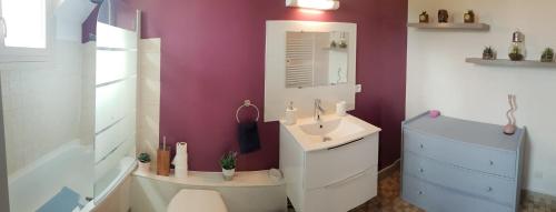 ein Badezimmer mit einem weißen Waschbecken und einem Spiegel in der Unterkunft Cookie Gite 6/7 personnes proche Zoo Beauval in Villentrois