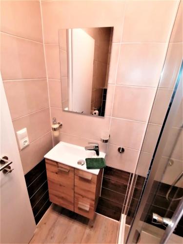 a bathroom with a sink and a mirror at Speedys Bed & Breakfast in Reimerath