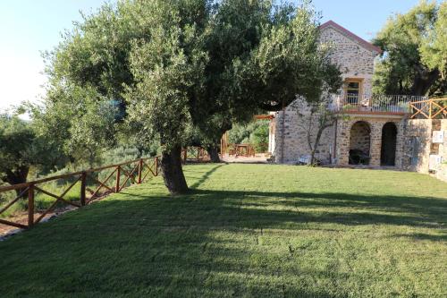 a tree in the yard of a house at Casolare Cento Ulivi Luxury & Charme in Ascea