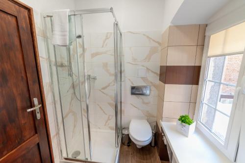 a bathroom with a shower and a toilet at Apartamenty Street31 in Toruń