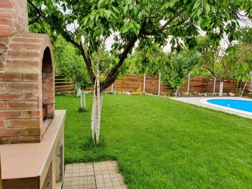 a tree in a yard next to a swimming pool at LA CASSA in Timişoara