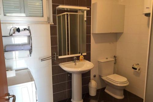 ein kleines Badezimmer mit Waschbecken und Toilette in der Unterkunft Apartment Jadranka Selce No 64 in Selce