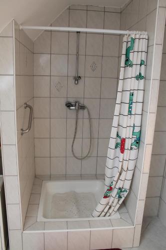 a bathroom with a shower with a bath tub at Erzsébet Vendégház in Csesznek