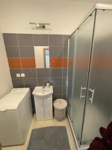 Koupelna v ubytování Stylový byt v mikroregionu Šternbersko Uničovsko
