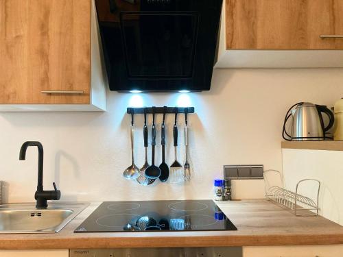 Kuchyňa alebo kuchynka v ubytovaní APARTMENTS zum Wohlfühlen MARIAZELL
