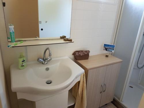 une salle de bain avec un lavabo et un miroir dans l'établissement Mobil-Home Camping Novela, à Port-la-Nouvelle