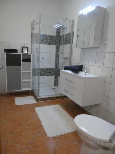 ein Bad mit einer Dusche, einem WC und einem Waschbecken in der Unterkunft Ferienwohnung Nordlicht in Neuenkirchen