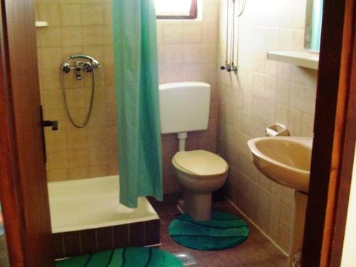 Kúpeľňa v ubytovaní Apartment in Pakoštane with sea view, balcony, WiFi (3539-1)