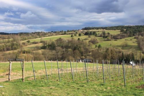 Naturlandschaft in der Nähe des Ferienhauses