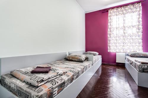 a bedroom with two beds and purple walls at Mister Hostel in Lviv