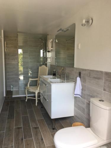 uma casa de banho com um lavatório, um WC e um espelho. em Atelierchic em Le Lavandou