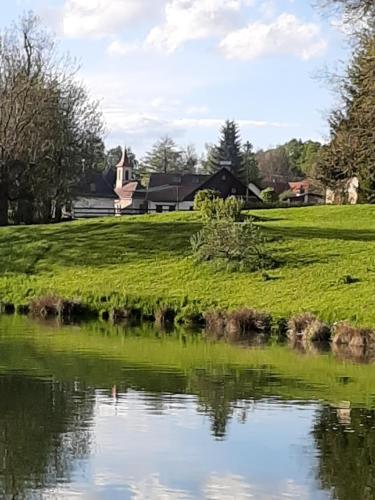 a pond with green grass and a house in the background at Apartmán Studnice in Nové Město na Moravě